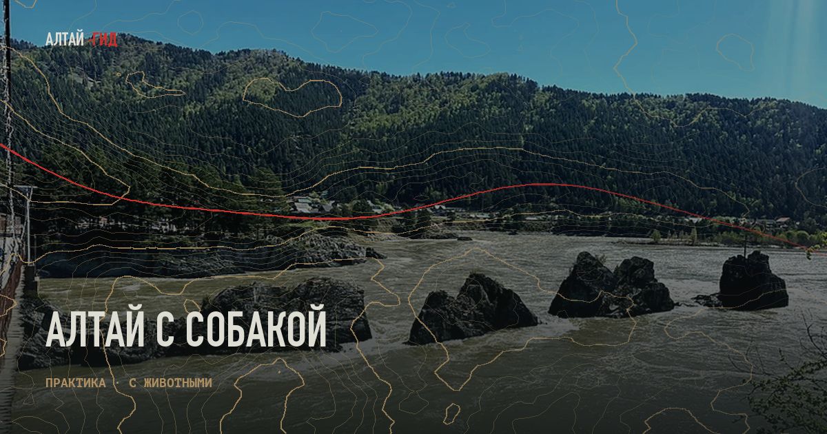 Алтай с собакой