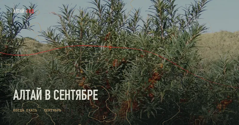 Алтай в сентябре
