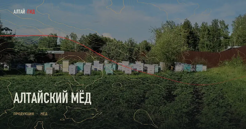 Алтайский мёд