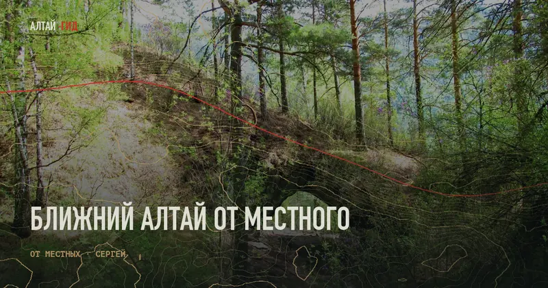 Ближний Алтай от местного