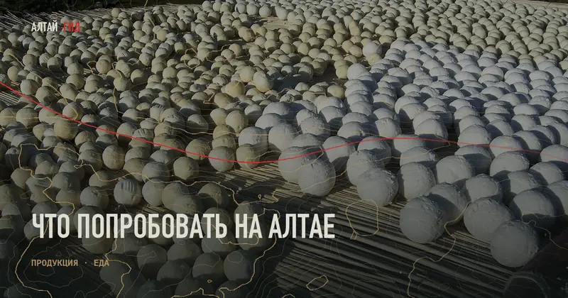 Что попробовать на Алтае