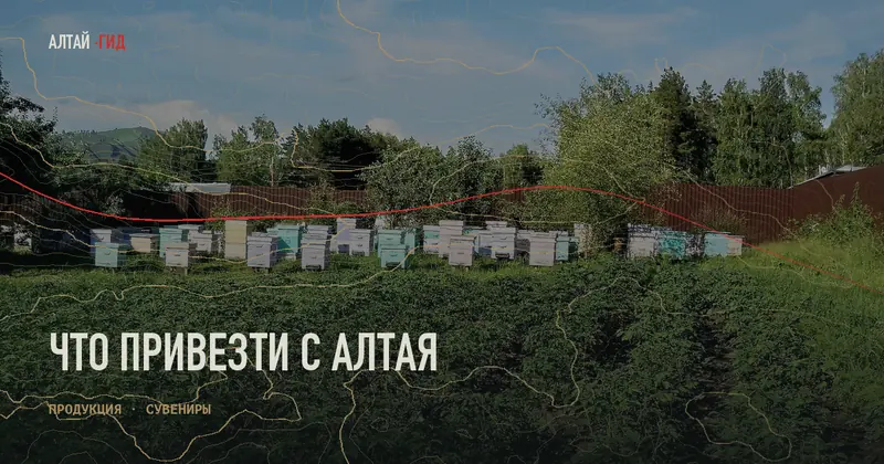 Что привезти с Алтая